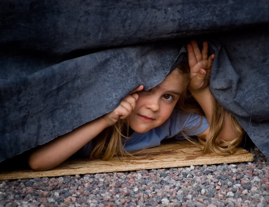 ifred_dsc_5346.png ifred_dsc_5346.png